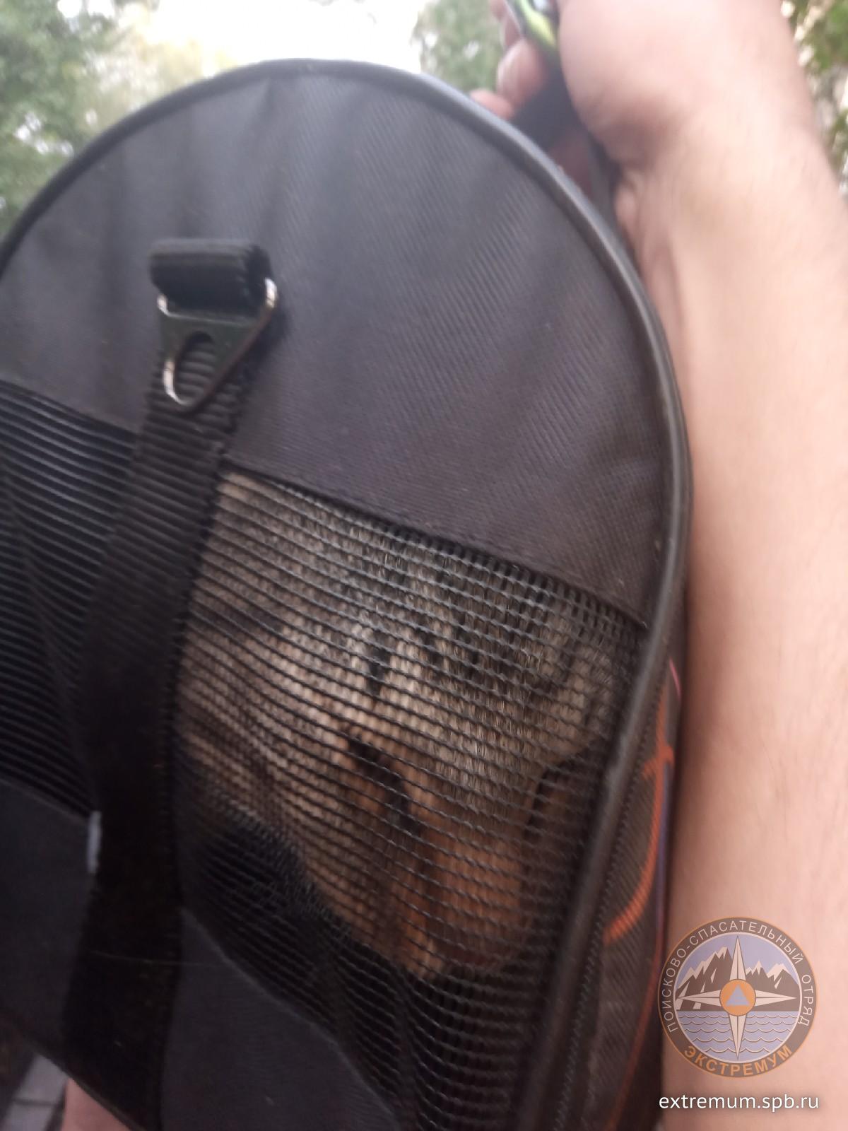 l3-mc9iiYX0.jpg
237.48 КБ, Просмотров: 1444 l3-mc9iiYX0.jpg