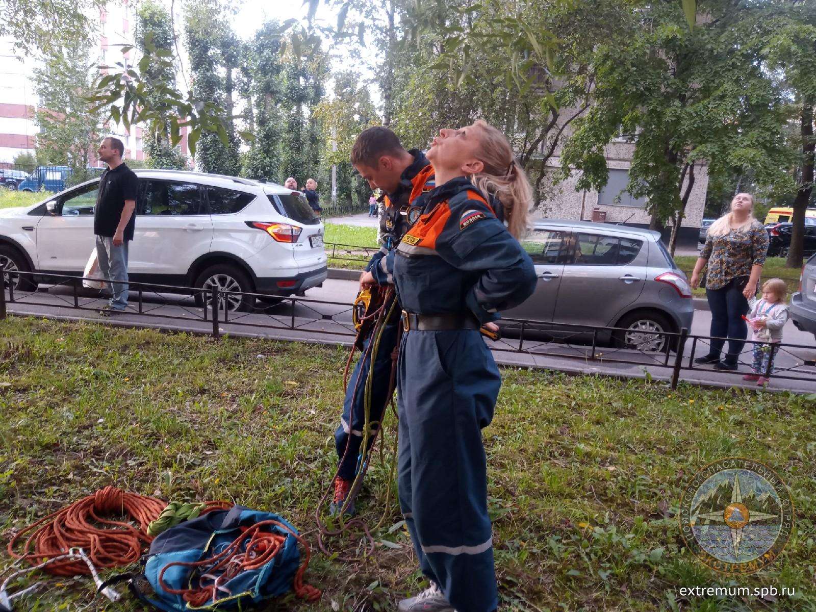 4fdRJqhYfcM.jpg
720.36 КБ, Просмотров: 1444 4fdRJqhYfcM.jpg