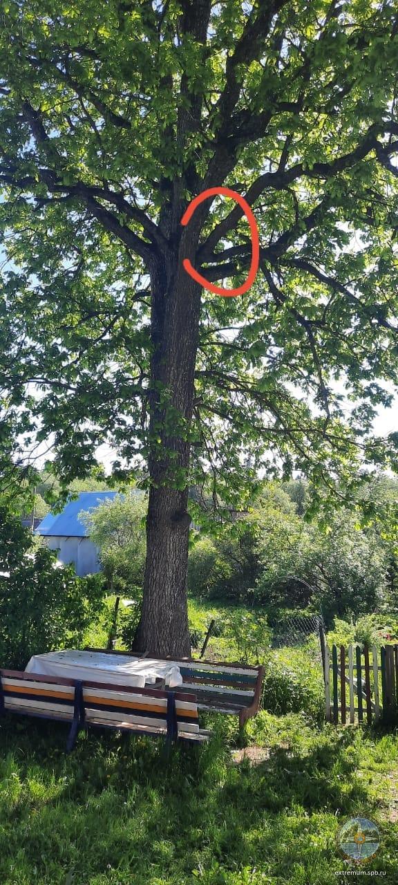 WhatsApp Image 2021-06-04 at 09.16.50 (1).jpeg