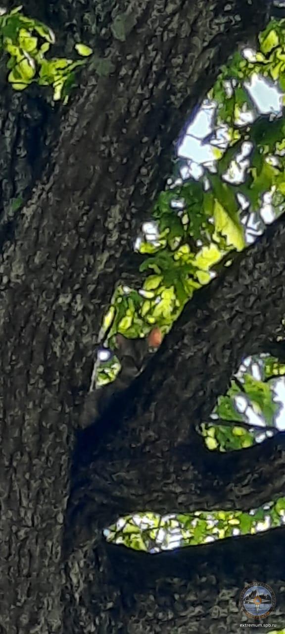 WhatsApp Image 2021-06-04 at 09.16.50.jpeg