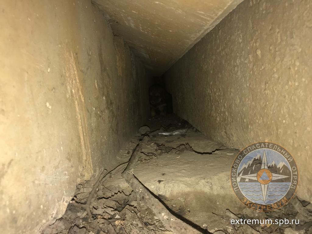 WhatsApp Image 2021-06-11 at 12.40.21.jpeg