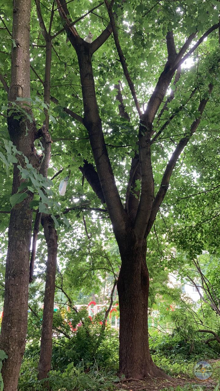 WhatsApp Image 2021-06-13 at 15.44.19.jpeg