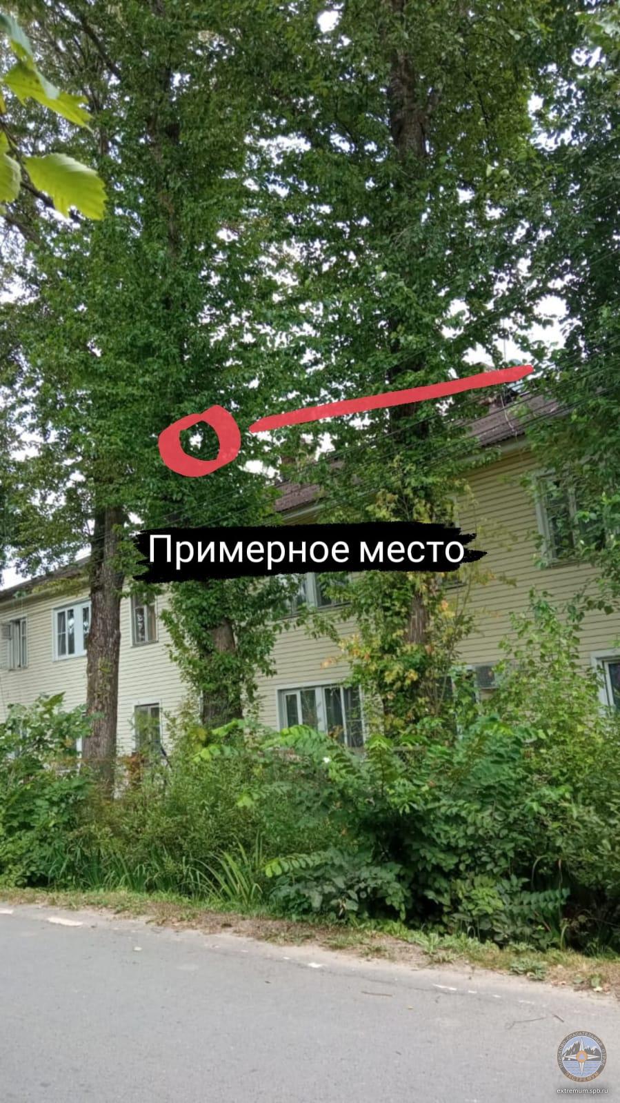 RWgVdcmBxNQ.jpg