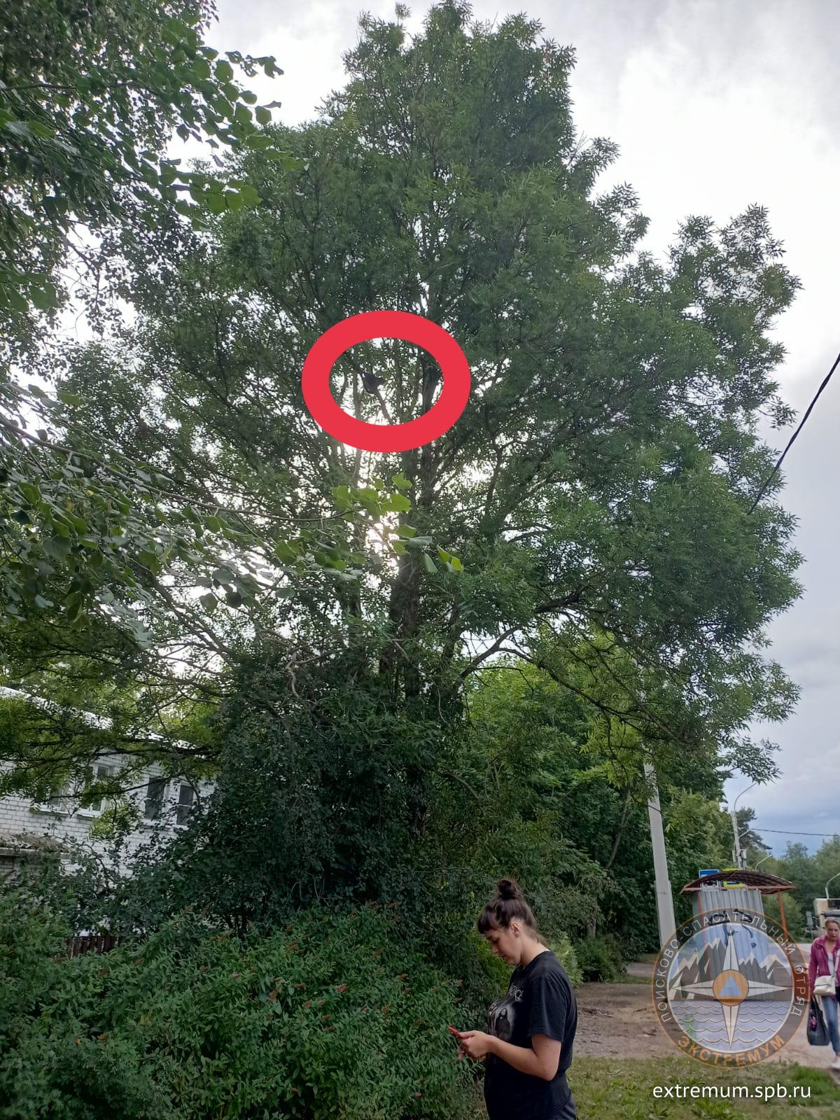 WhatsApp Image 2021-07-30 at 18.22.45.jpeg