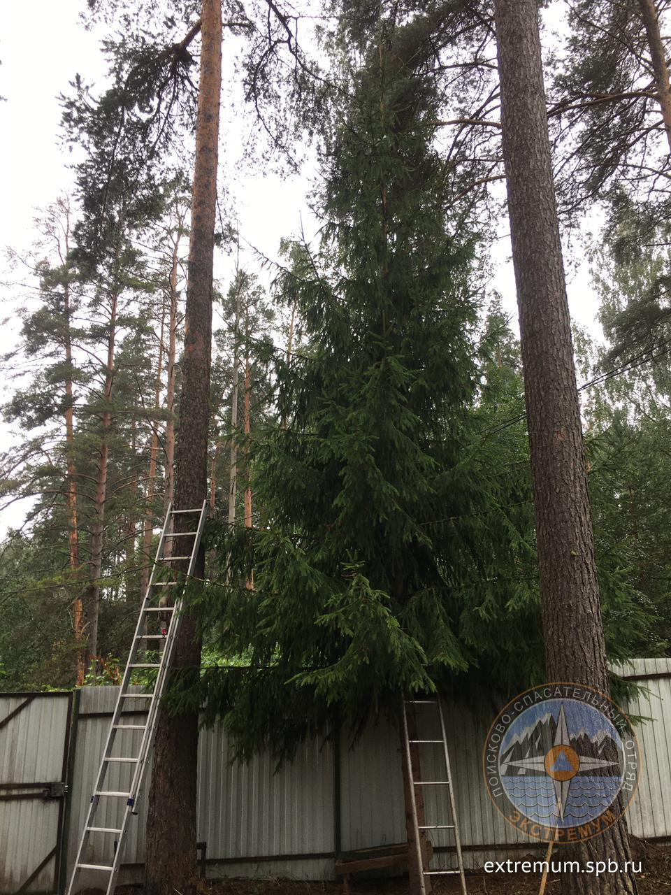 WhatsApp Image 2021-08-02 at 16.43.24.jpeg