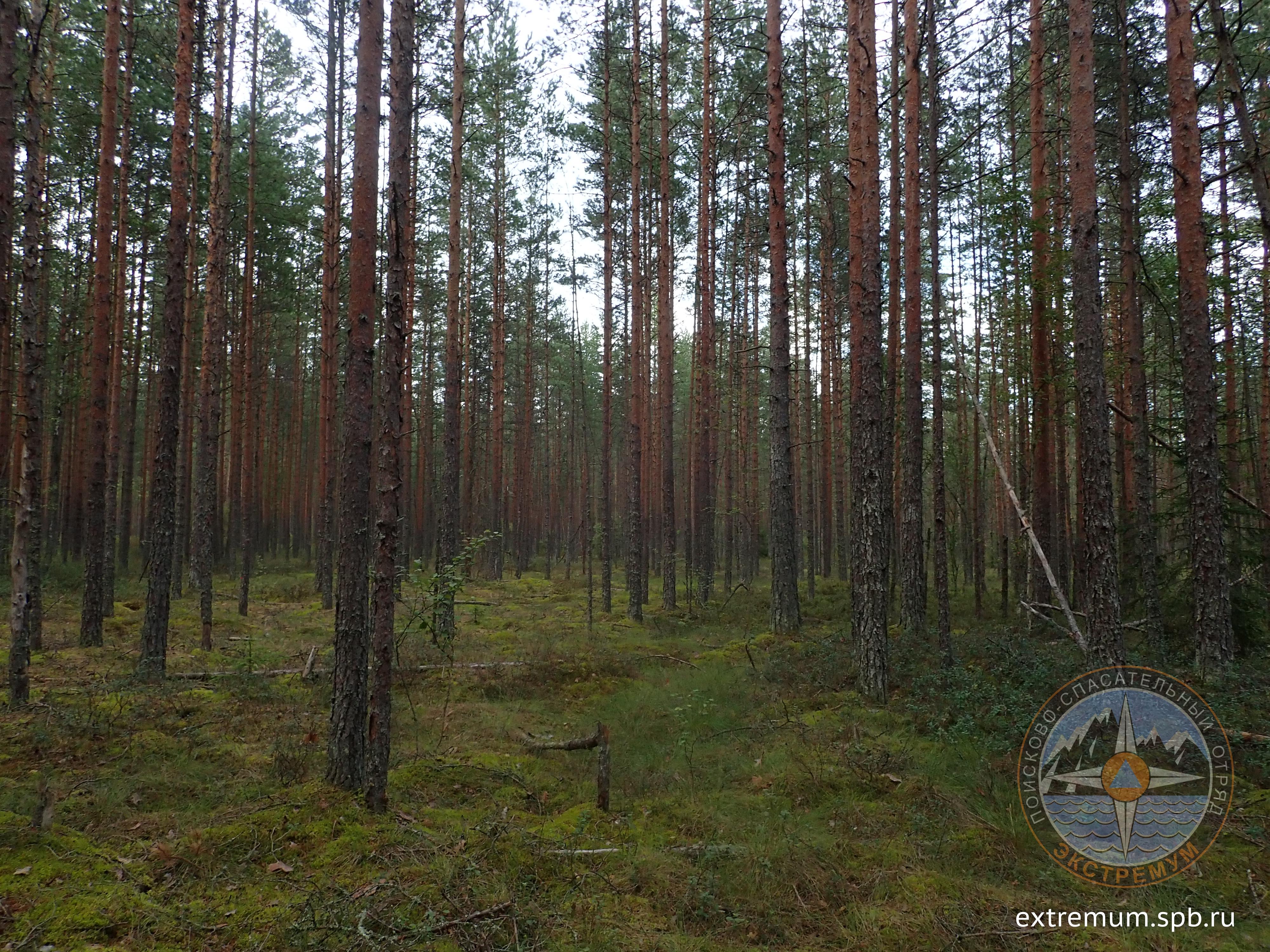 P1010228.JPG