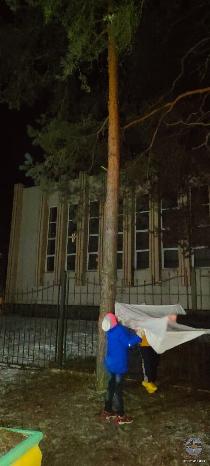 NngXP7rn7NA.jpg
