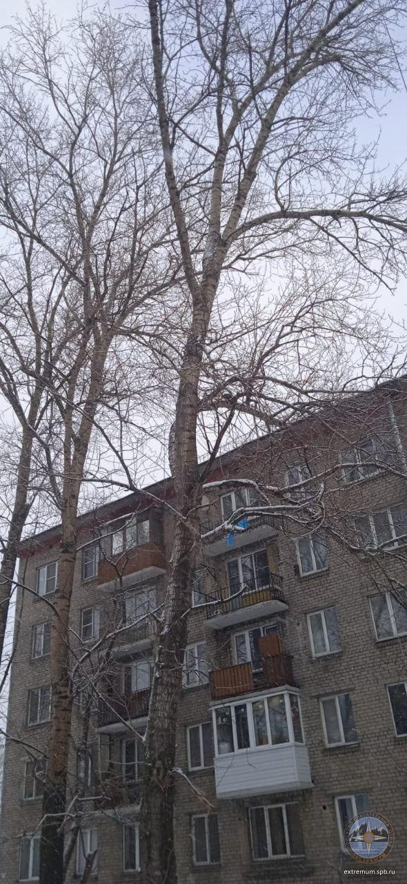 20220106_124817.jpg