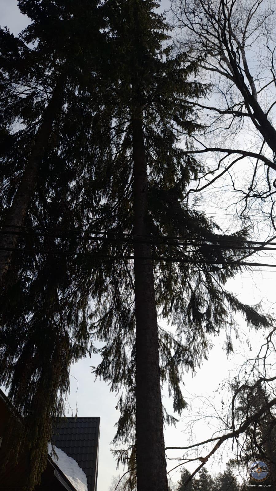 IMG-20220323-WA0001.jpg