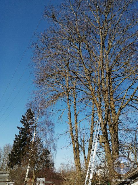 IMG_20220330_093005.jpg