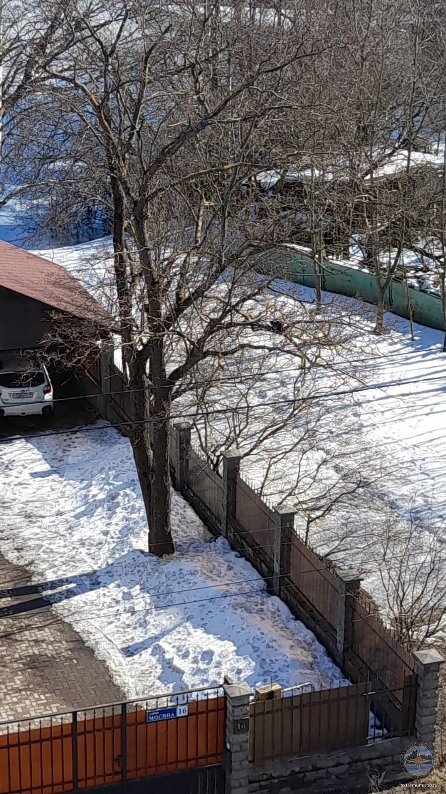 IMG-20220401-WA0016.jpg