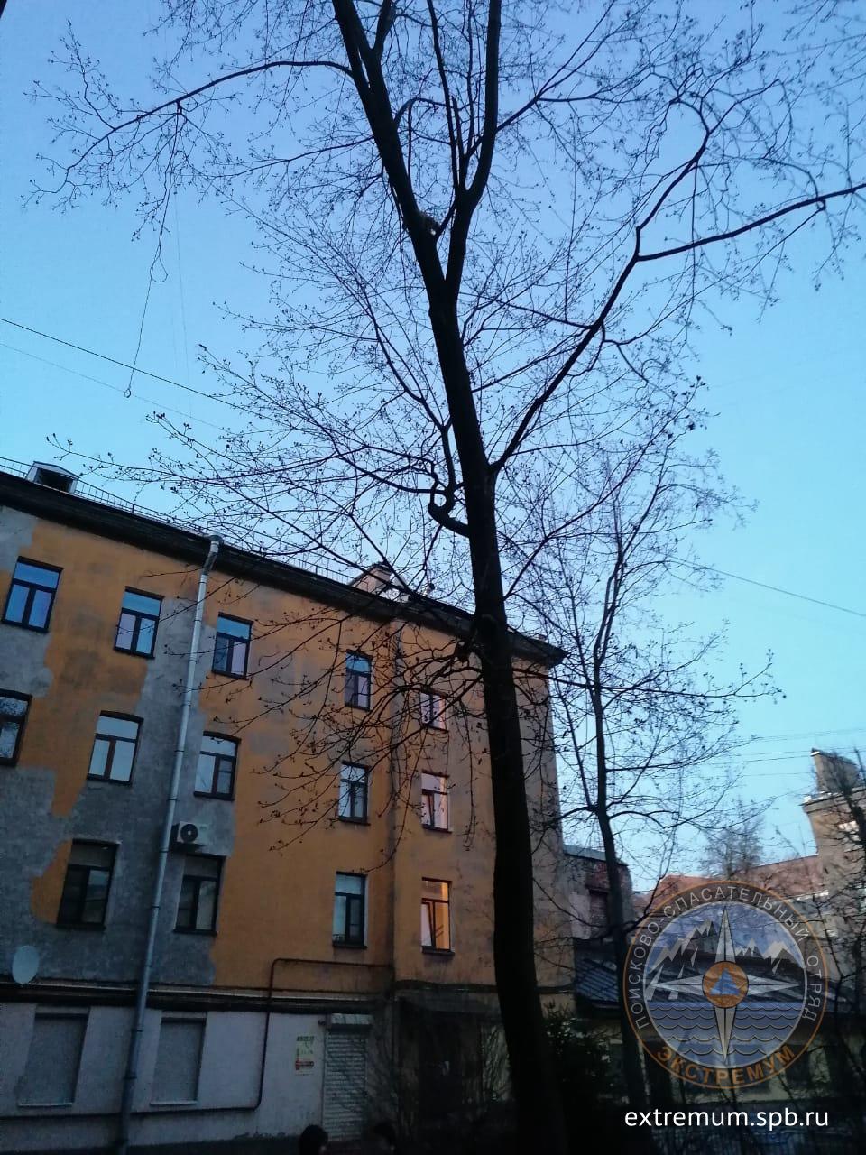 Думская_22.jpg