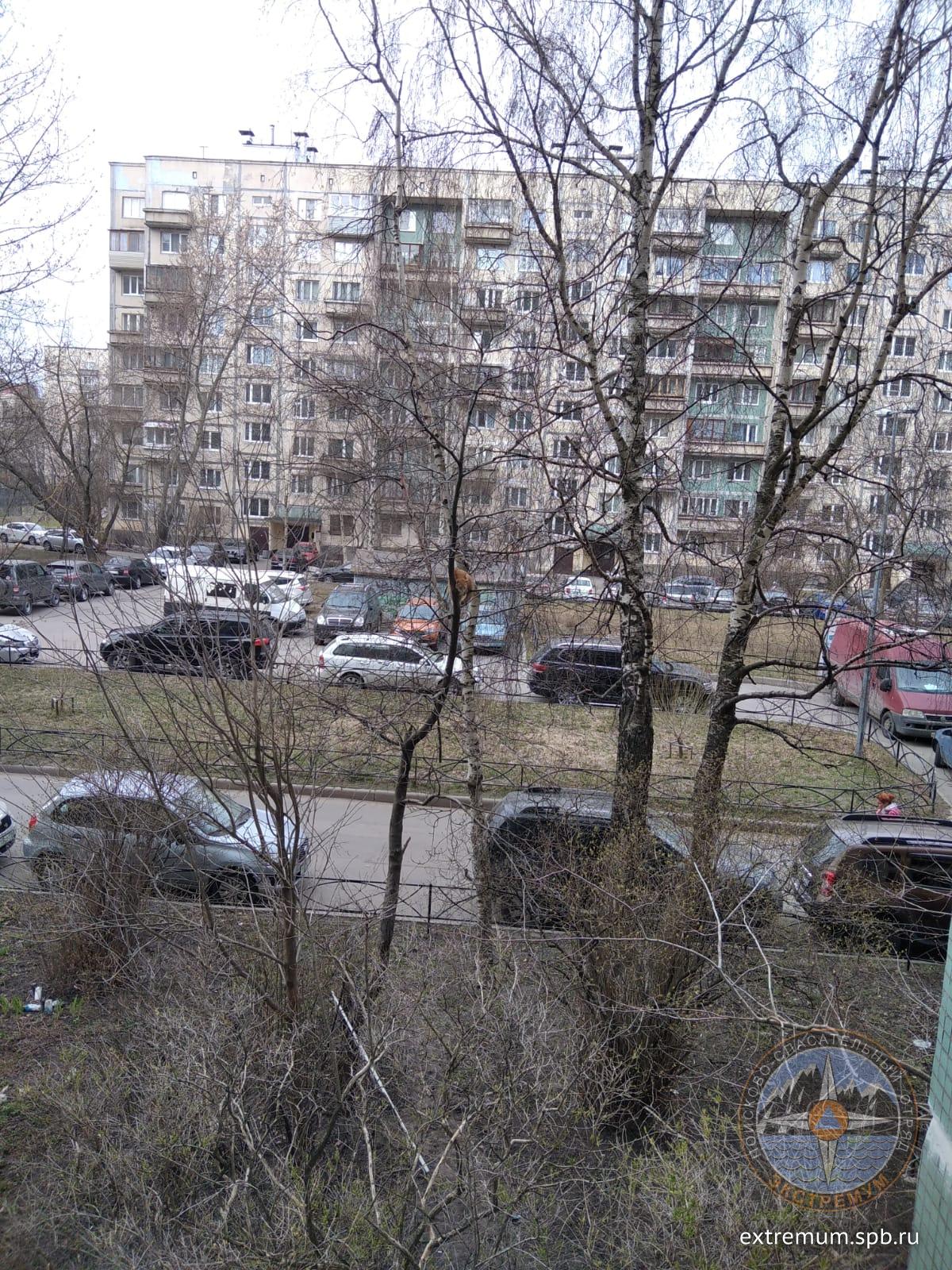 IMG-20220424-WA0002.jpg