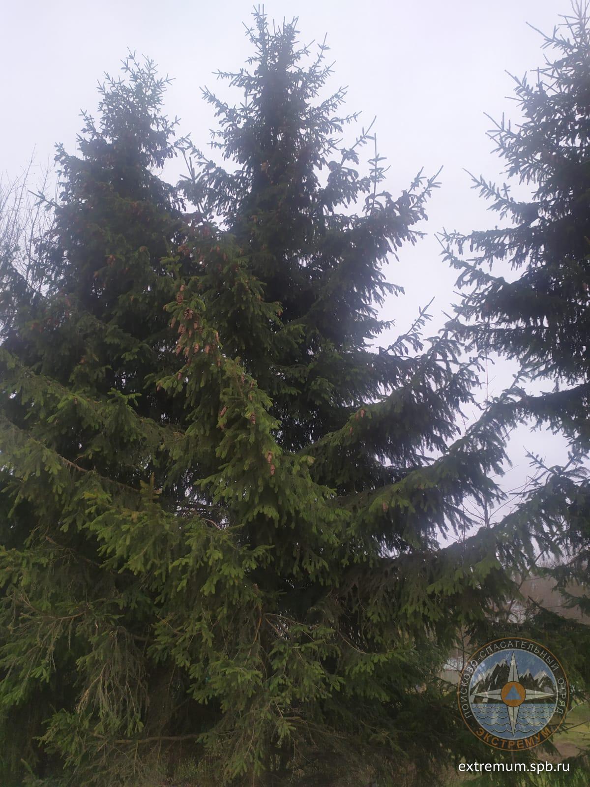 IMG-20220424-WA0004.jpg