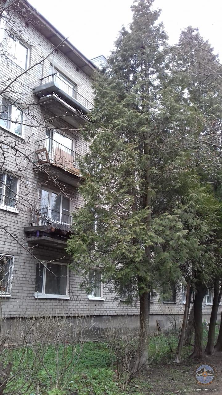 IMG-20220427-WA0003.jpg