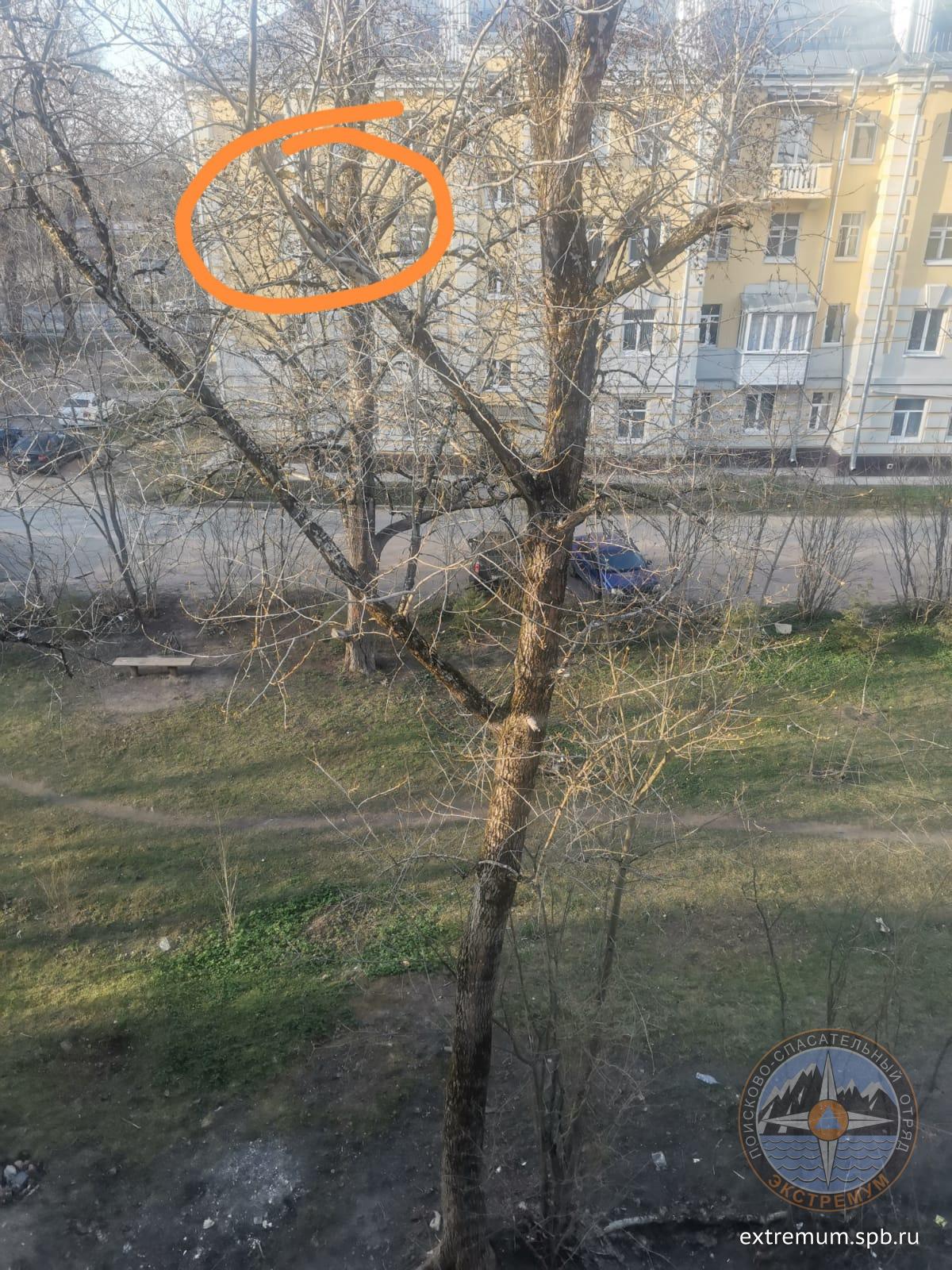 сертолово.jpg