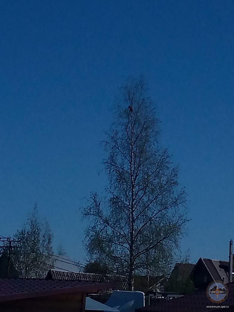 IMG-20220514-WA0000.jpg