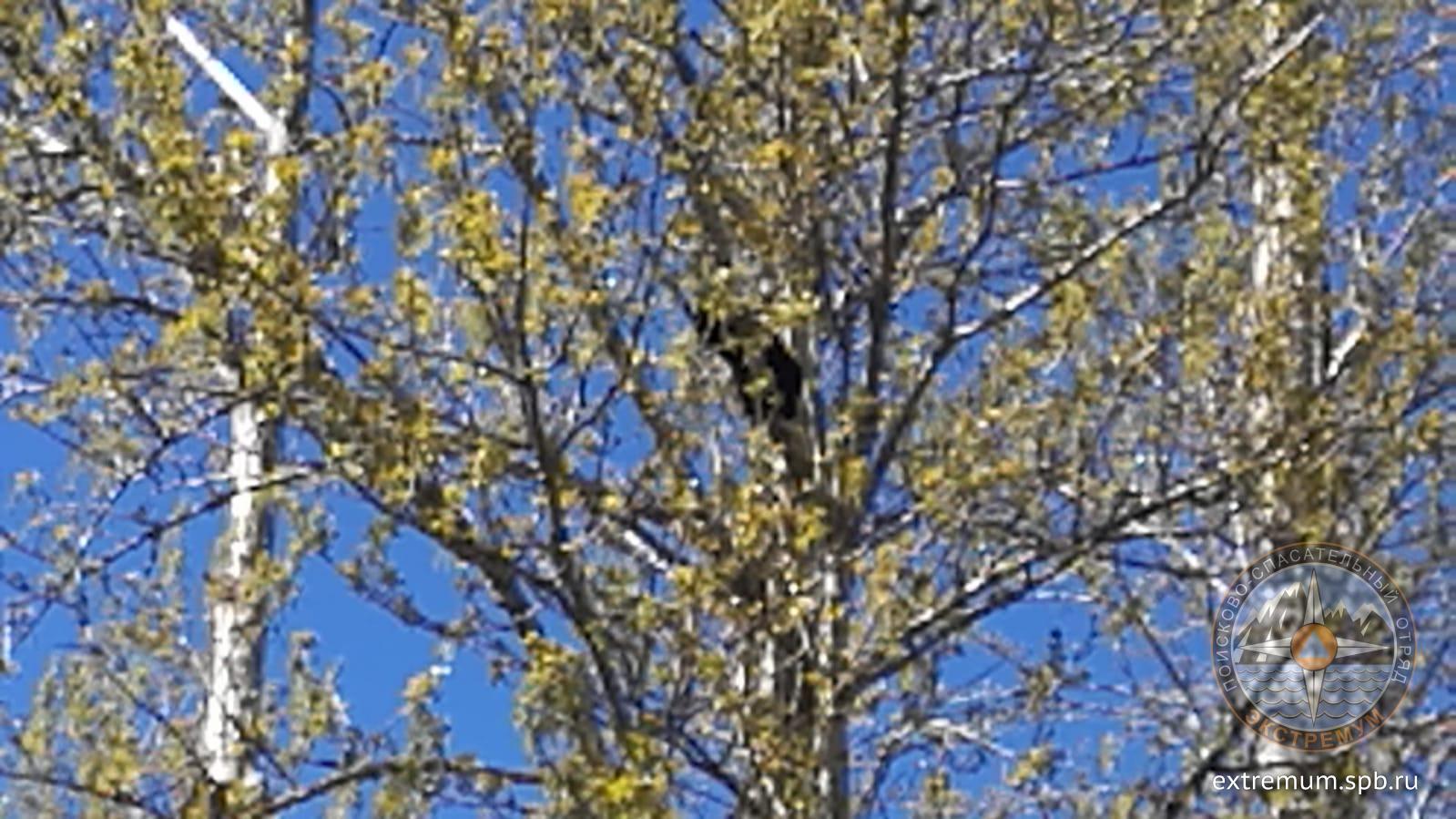 IMG-20220514-WA0002.jpg