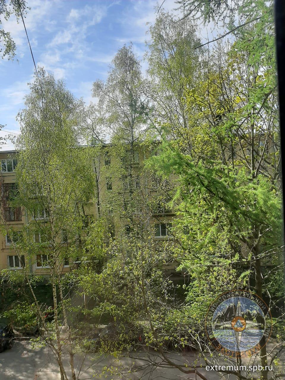 IMG-20220520-WA0001.jpg