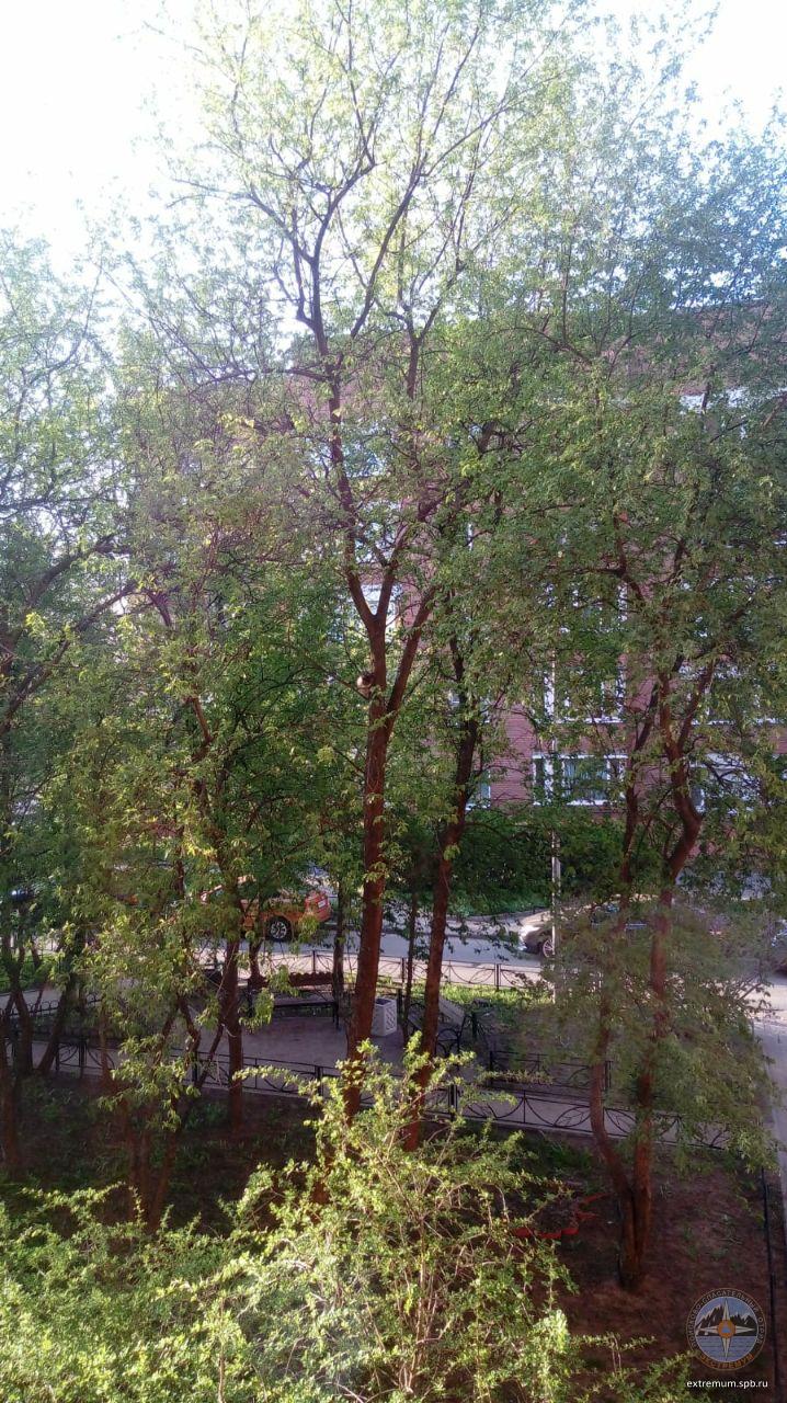 04.jpg