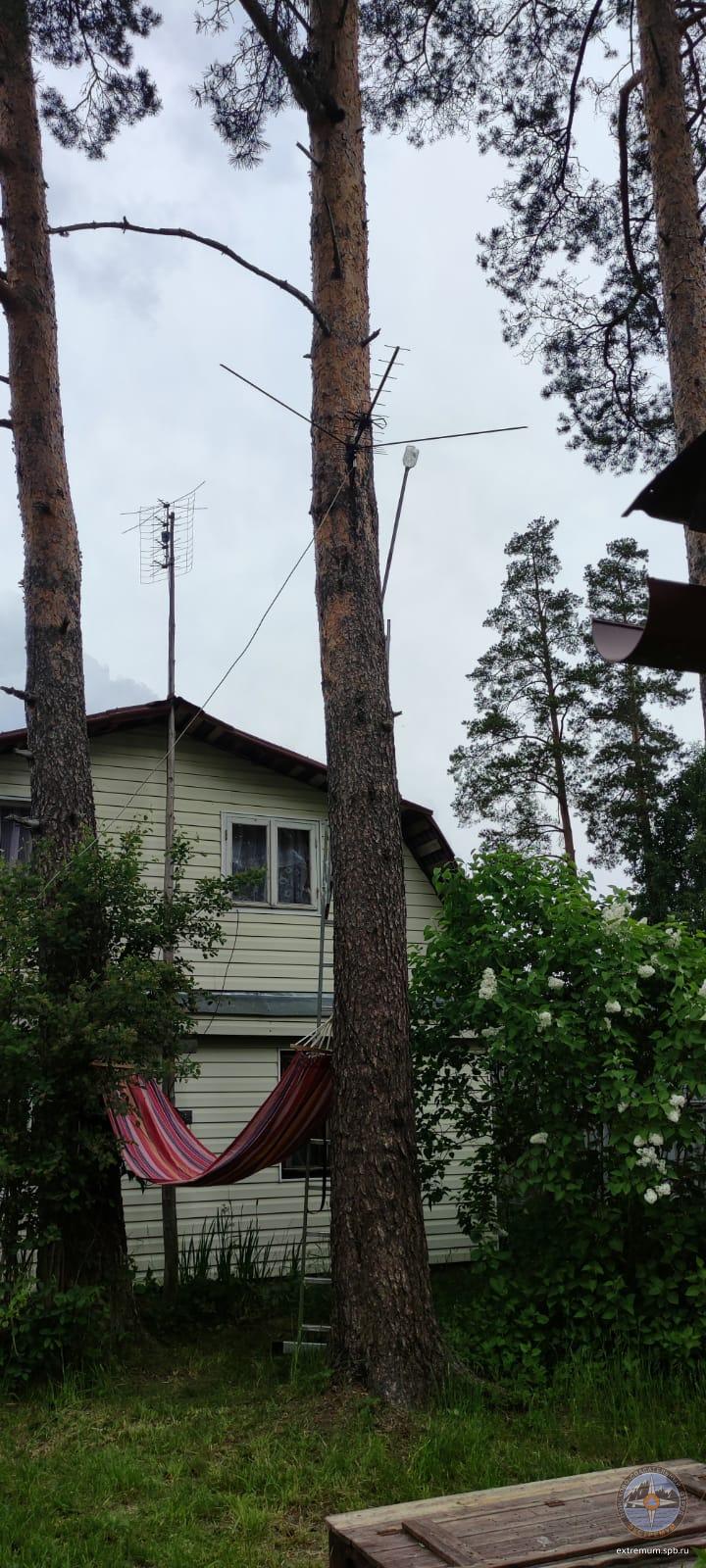 IMG-20220614-WA0001.jpg