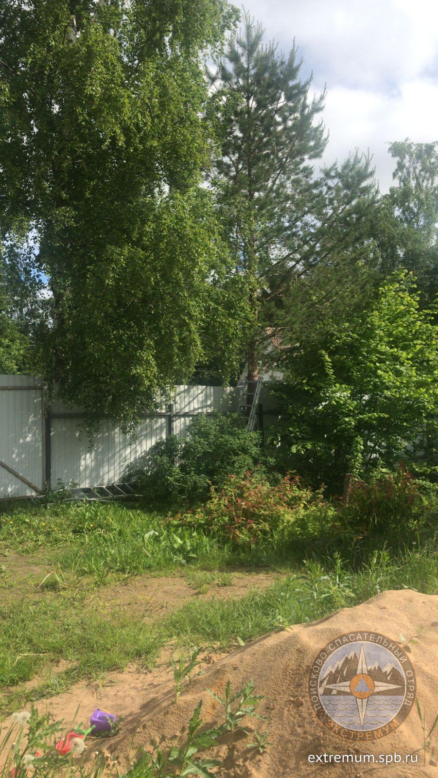 IMG-20220618-WA0003.jpg