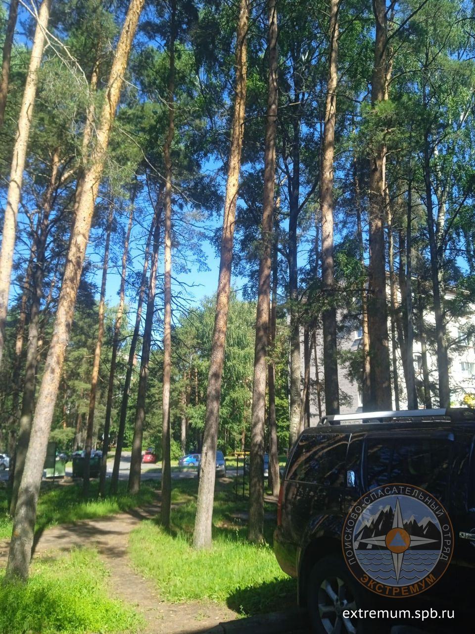 рорлоплрпоапа.jpg
