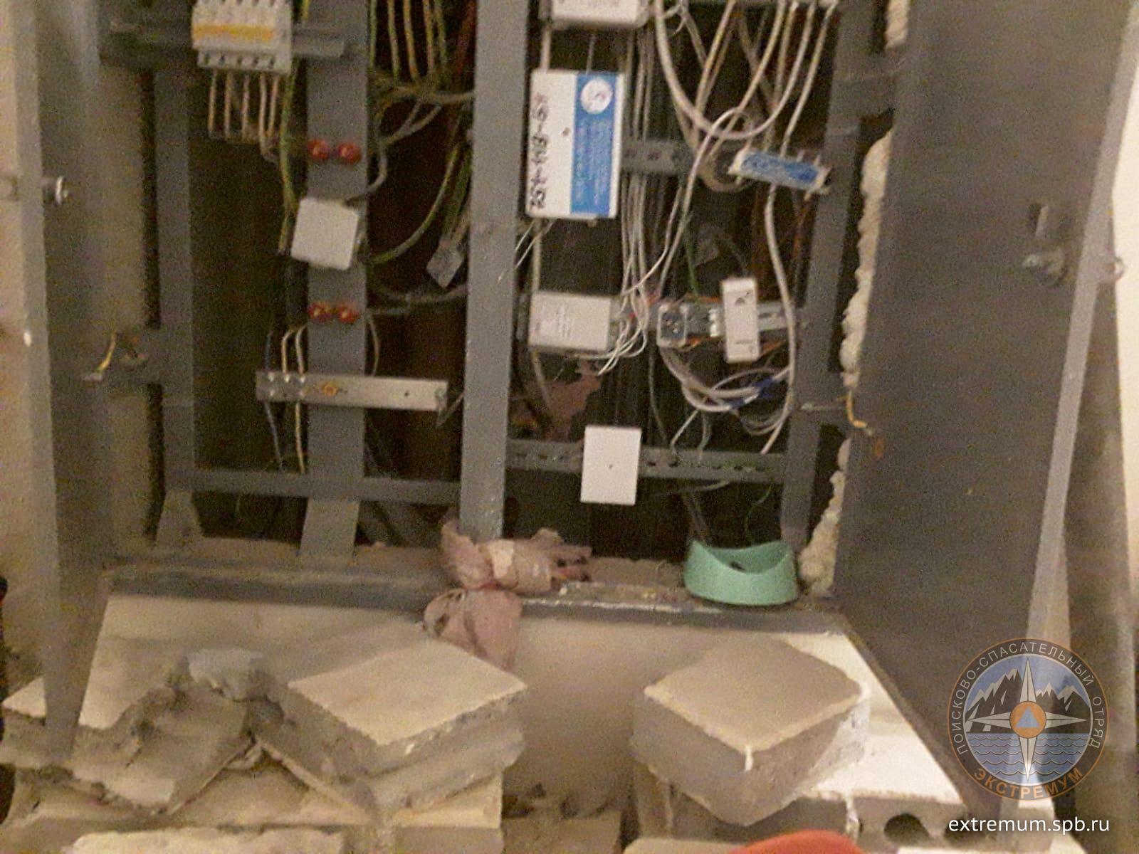 IMG-20220809-WA0004.jpg