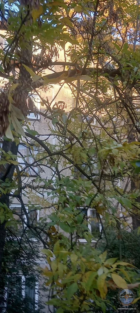 WhatsApp Image 2022-10-12 at 17.09.09.jpeg