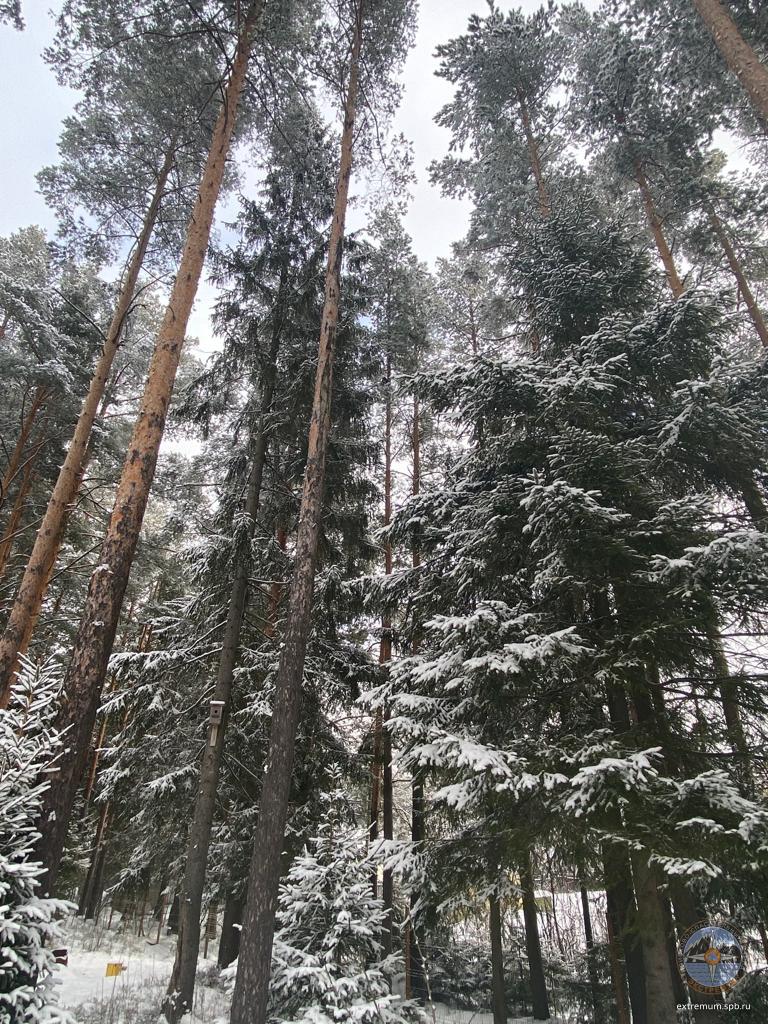 IMG-20230306-WA0002.jpg