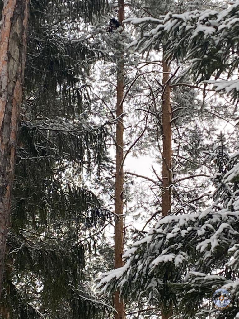 IMG-20230306-WA0001.jpg