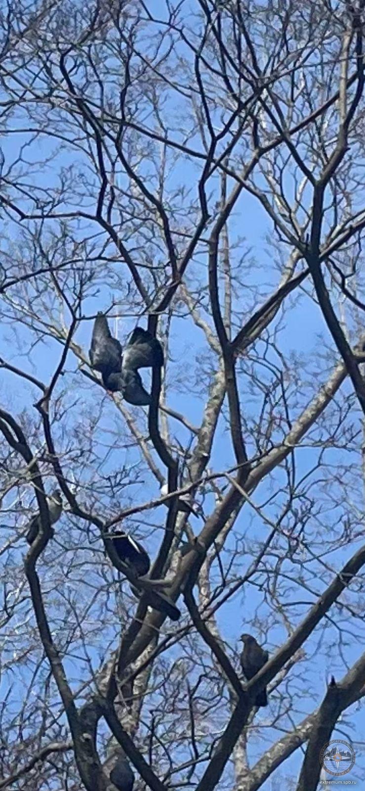 WhatsApp Image 2023-04-17 at 12.22.17.jpeg