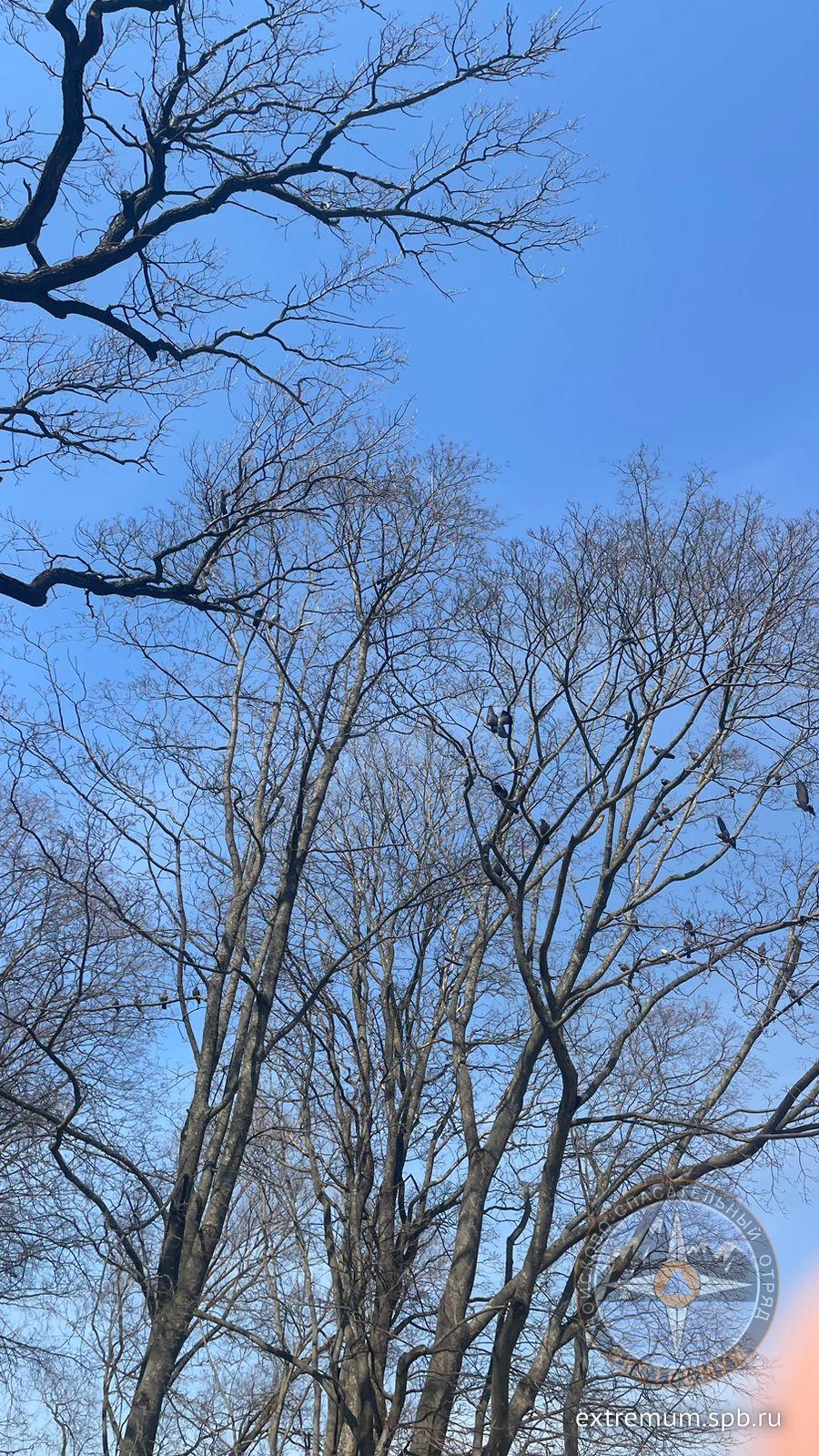 WhatsApp Image 2023-04-17 at 12.22.25.jpeg