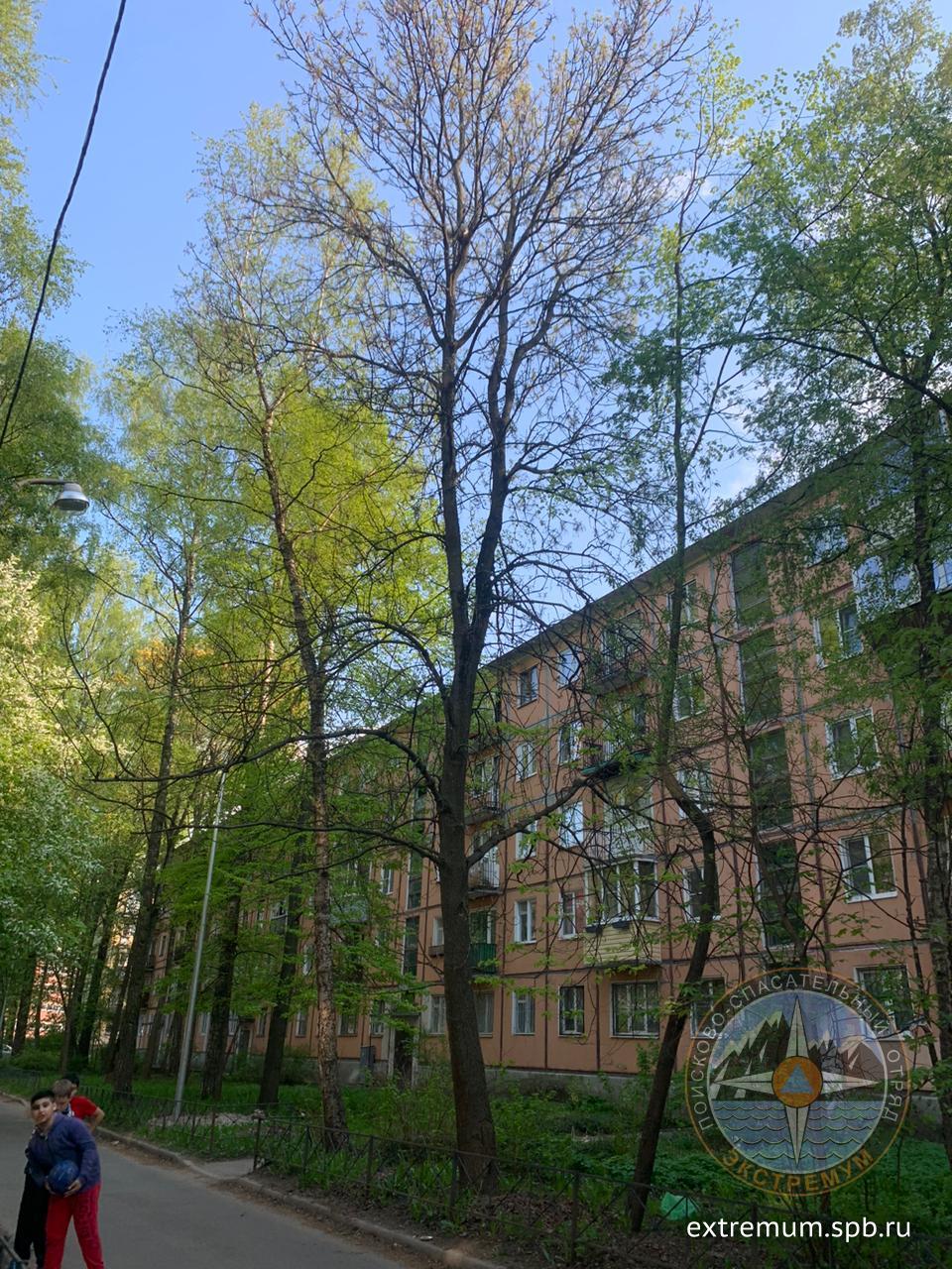 IMG-20230513-WA0002.jpg