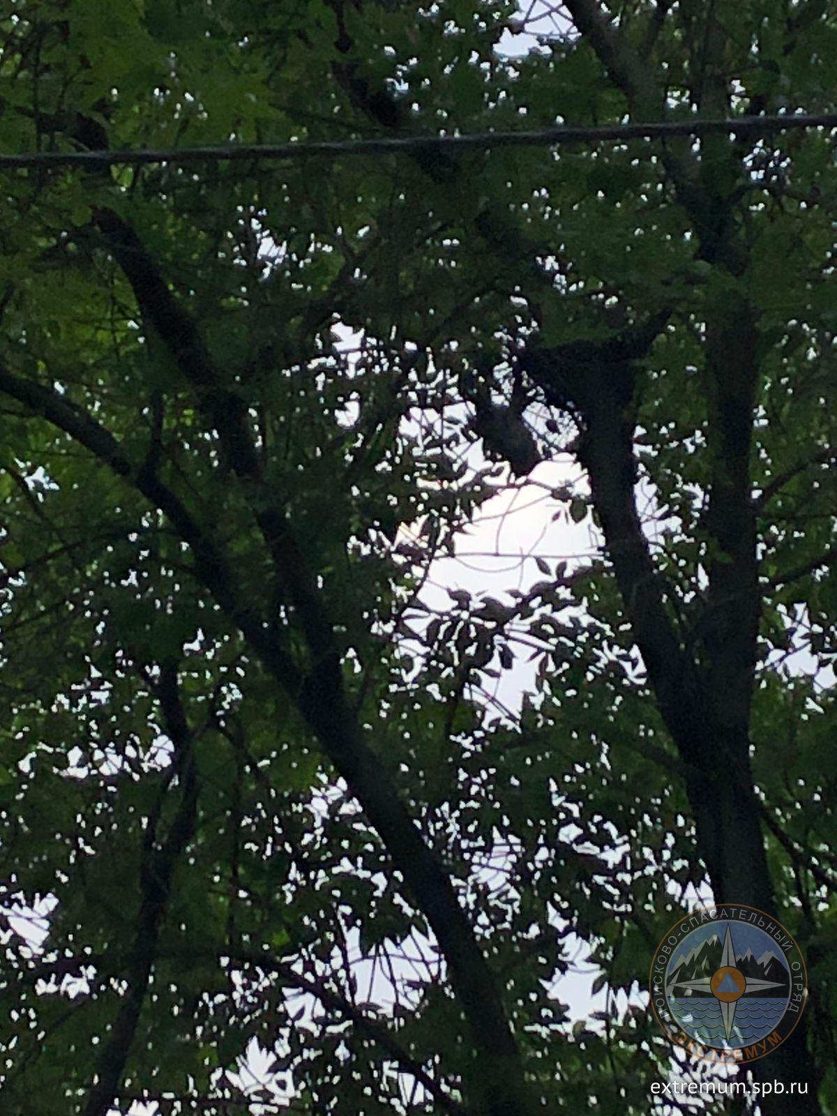 WhatsApp Image 2023-06-28 at 19.58.33 (1).jpeg