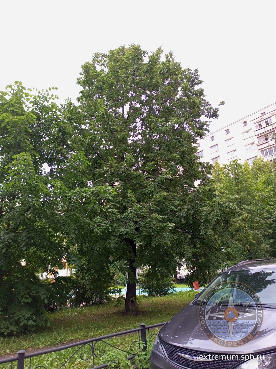 WhatsApp Image 2023-06-28 at 20.31.14.jpeg