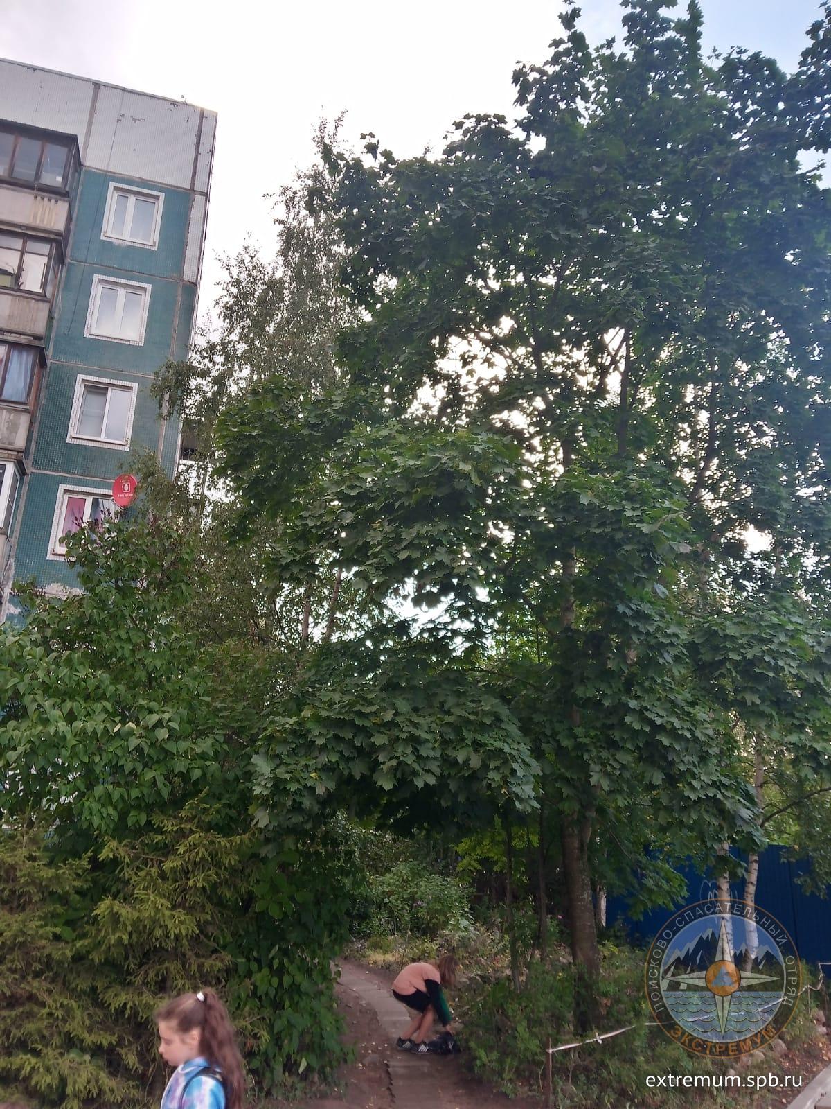 IMG-20230728-WA0005.jpg