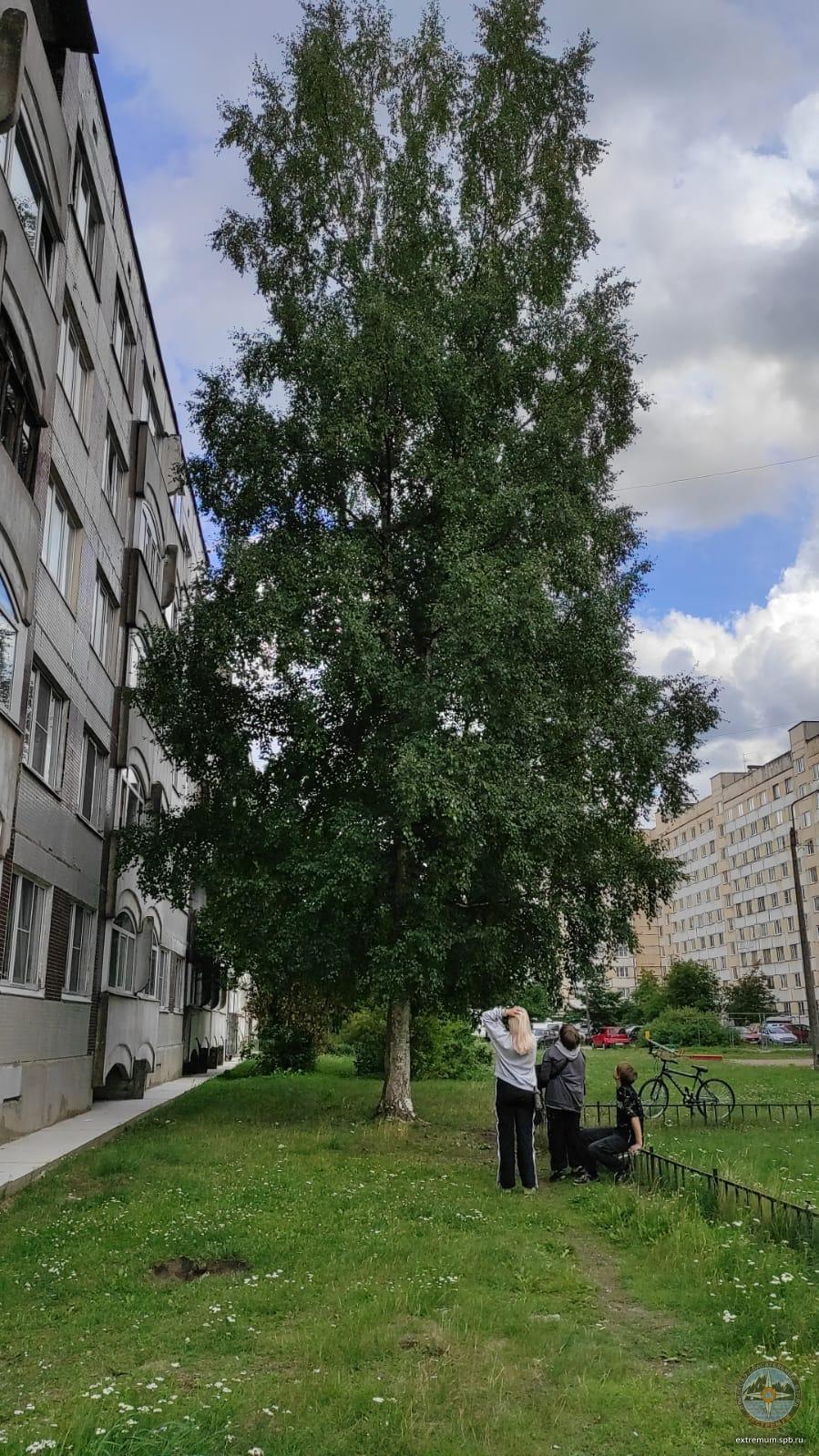 WhatsApp Image 2023-07-29 at 16.41.07.jpeg