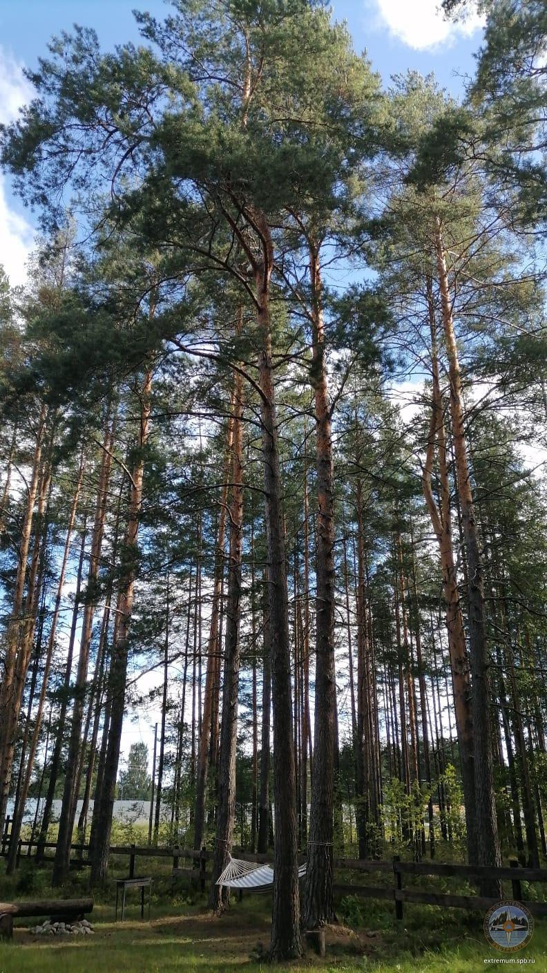 WhatsApp Image 2023-08-20 at 09.49.04.jpeg