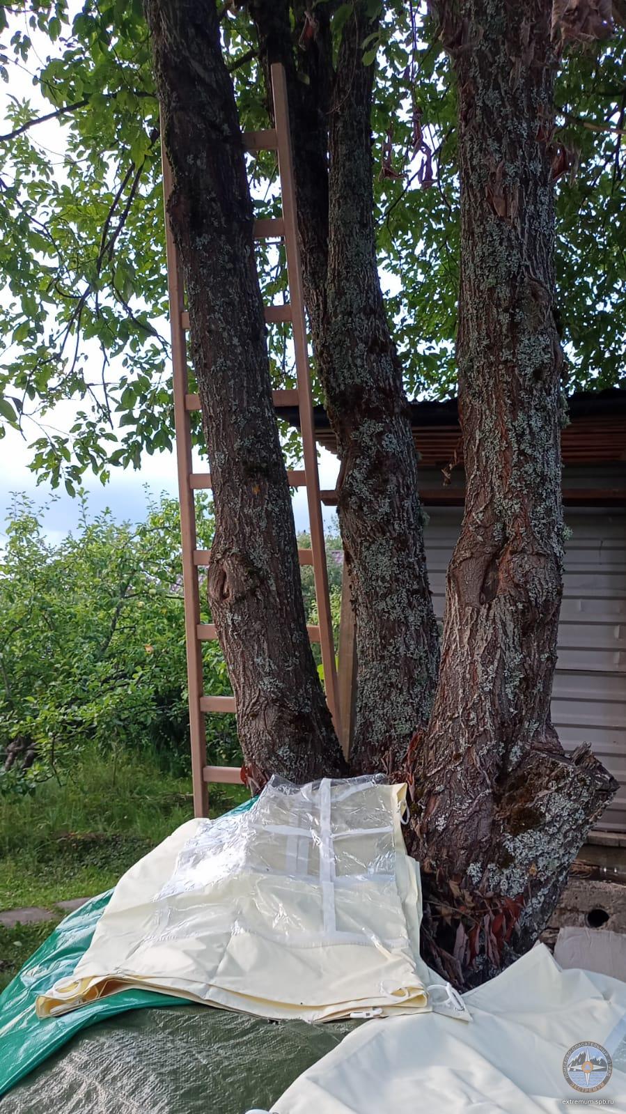 WhatsApp Image 2023-08-26 at 19.46.39.jpeg