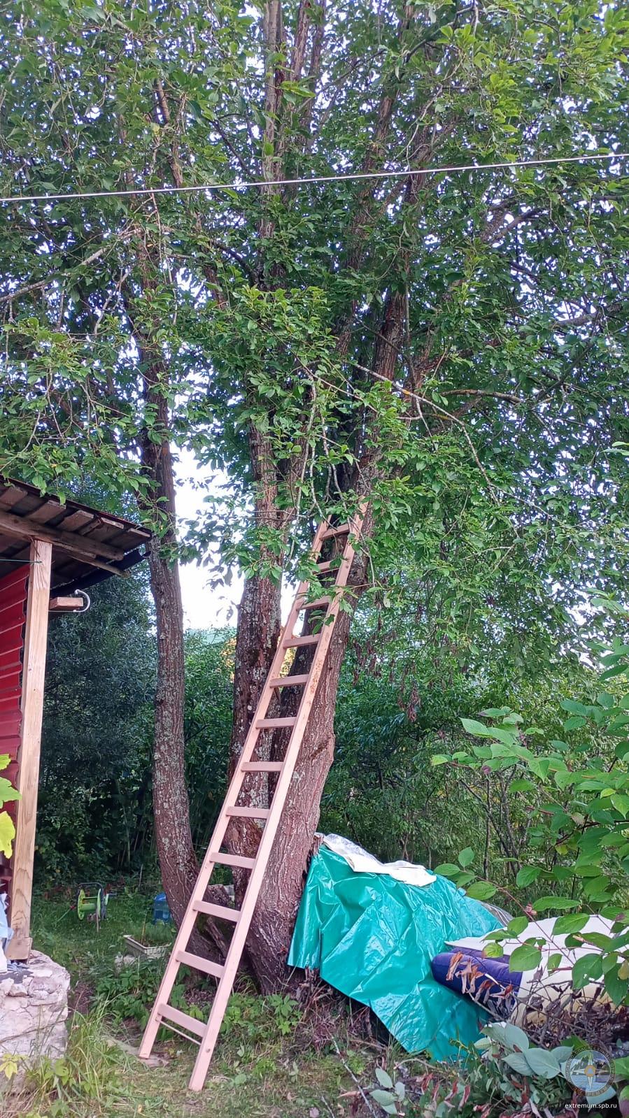 WhatsApp Image 2023-08-26 at 19.46.21.jpeg