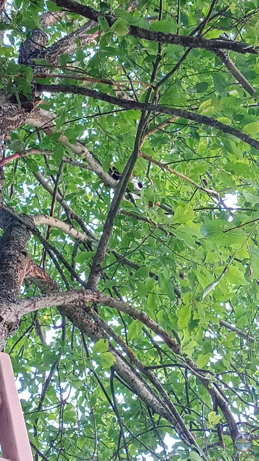 WhatsApp Image 2023-08-26 at 19.45.23.jpeg