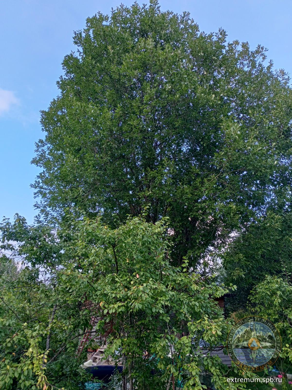 WhatsApp Image 2023-08-26 at 19.44.13.jpeg