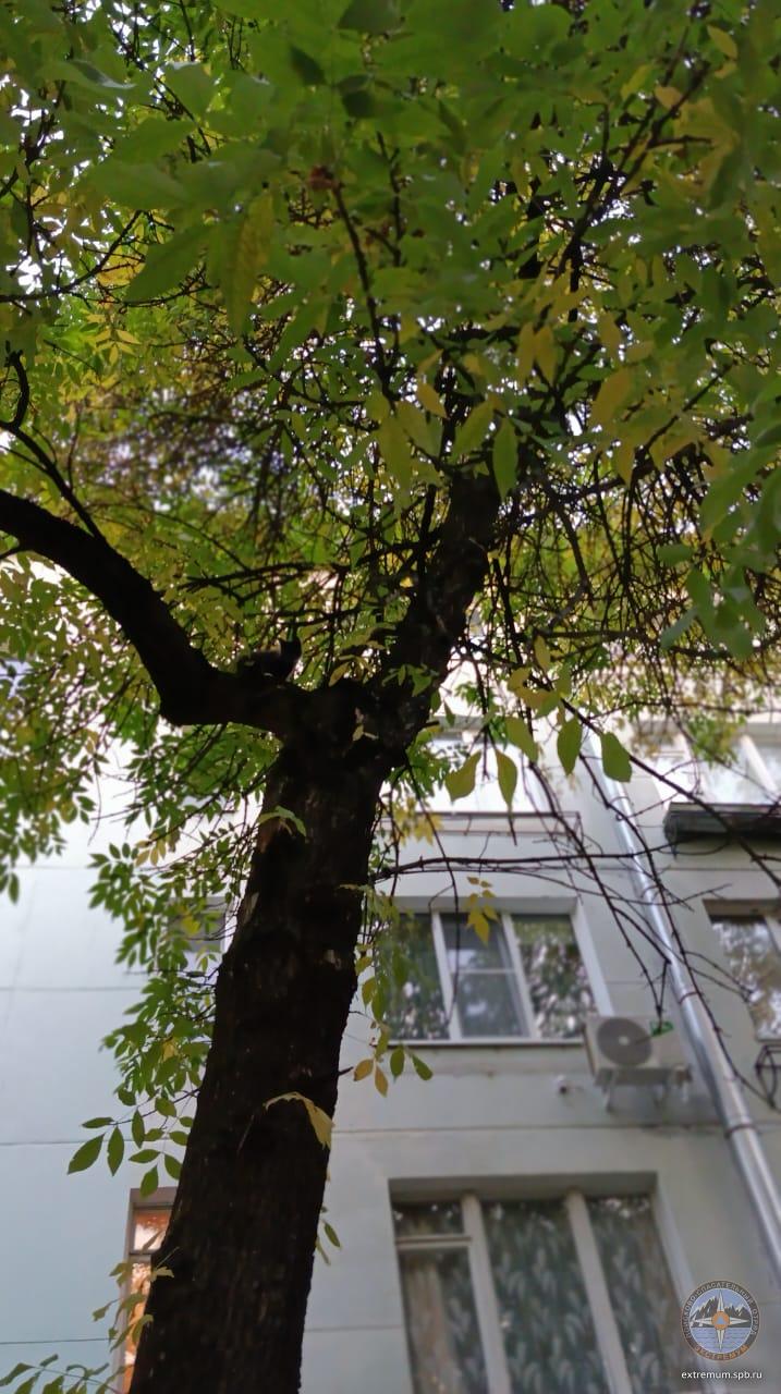 WhatsApp Image 2023-09-19 at 18.47.29.jpeg