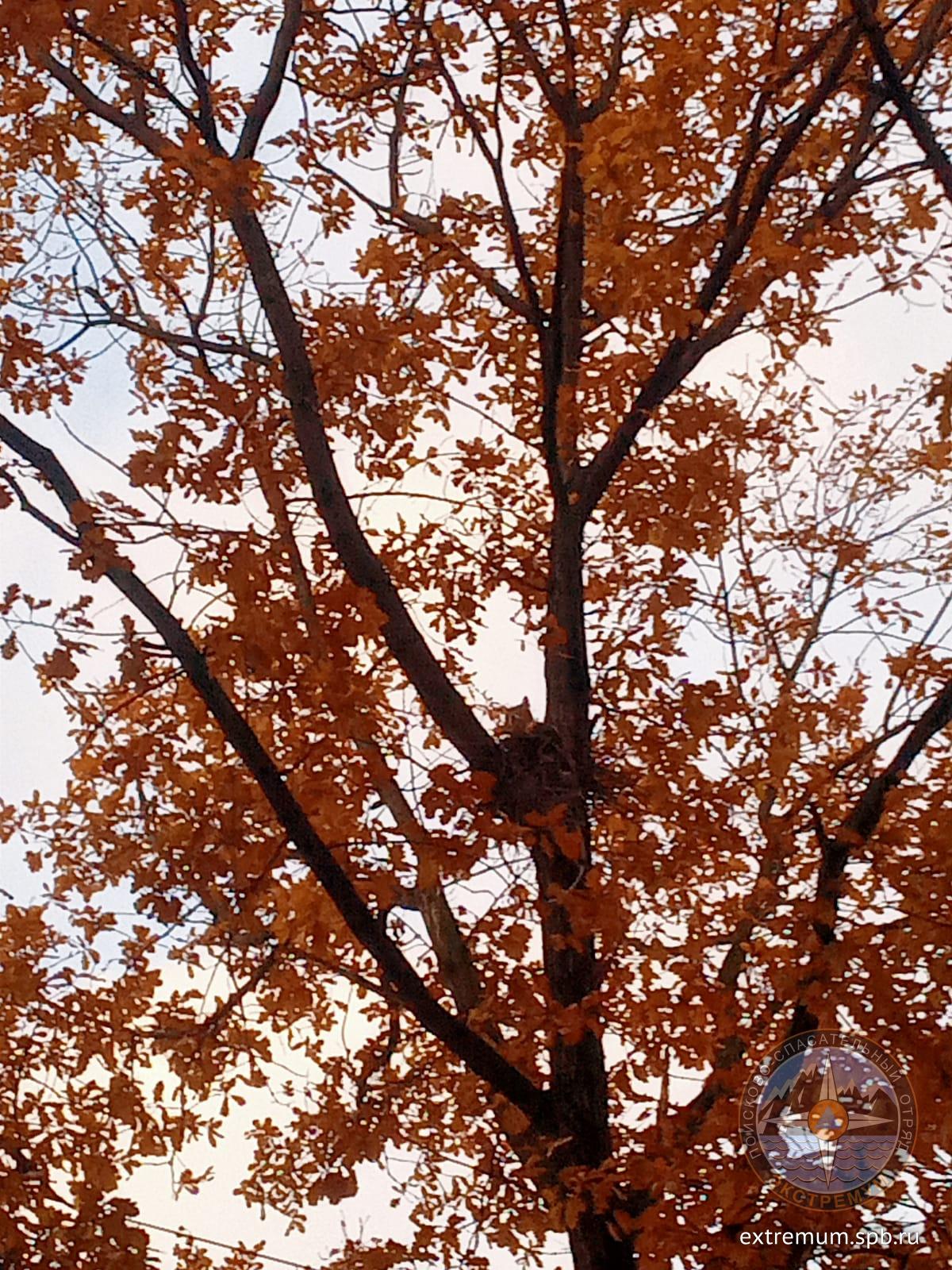 IMG-20231108-WA0000.jpg