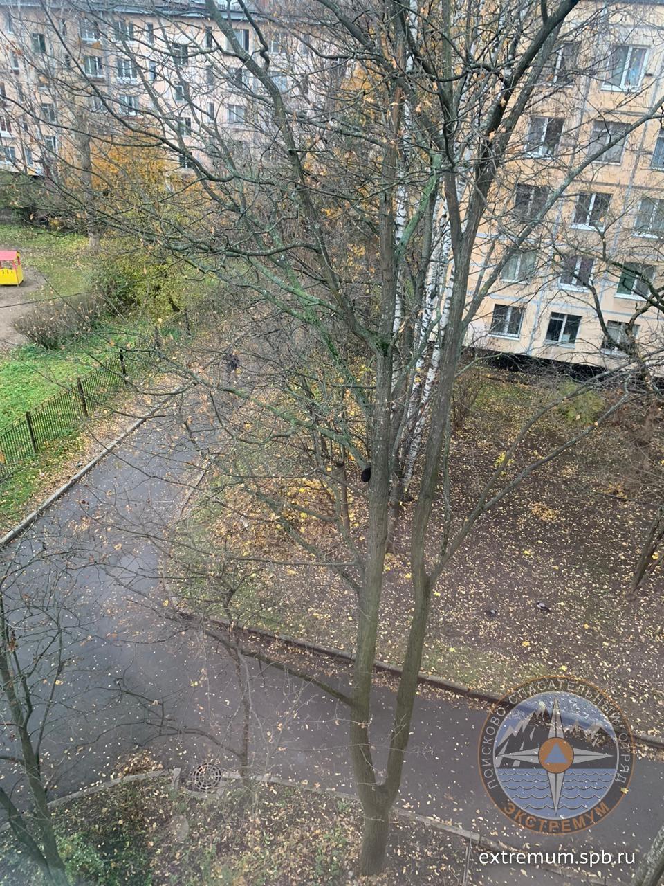 VMIGdeNrPqU[1].jpg
