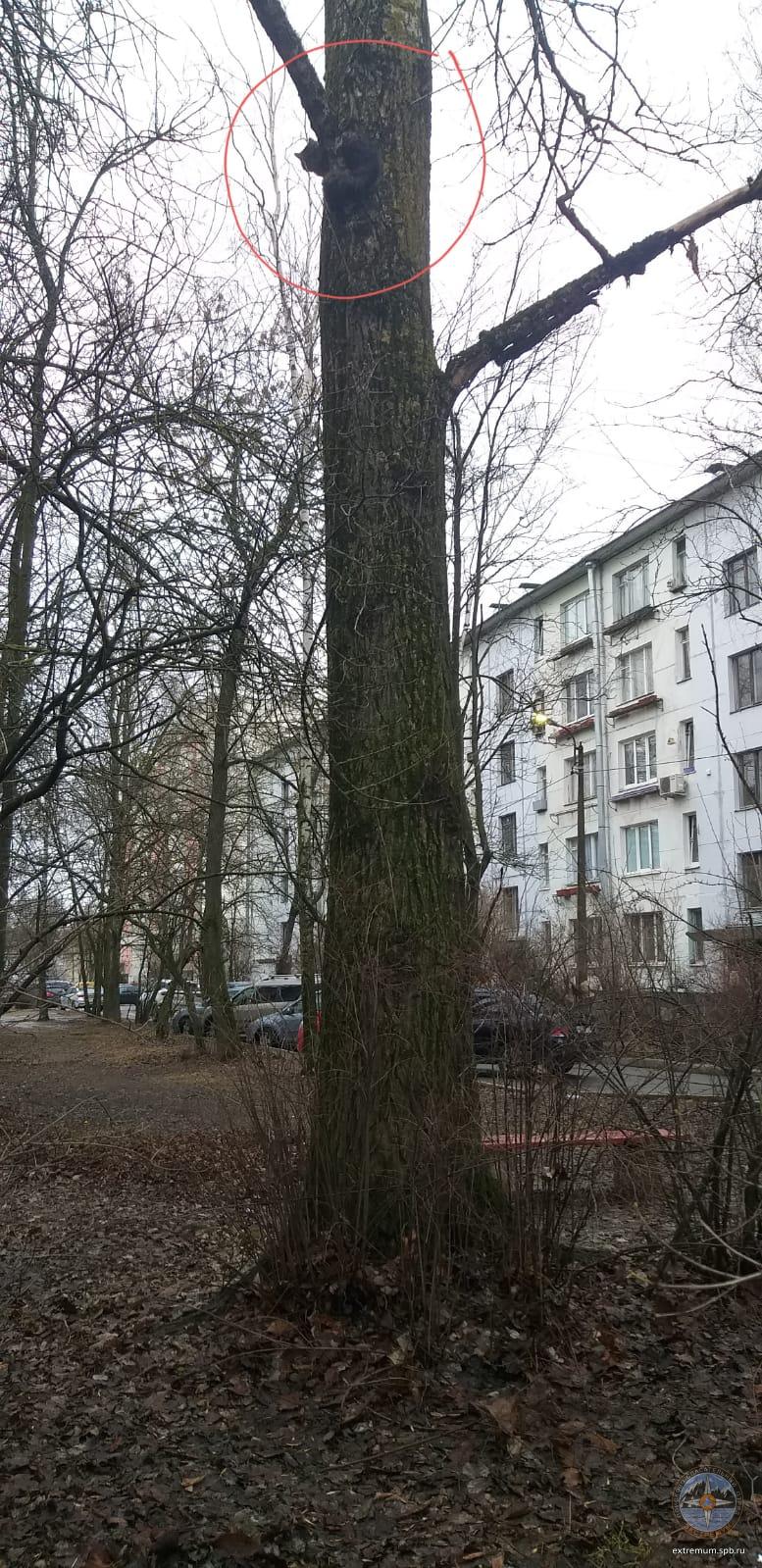 WhatsApp Image 2024-03-17 at 13.16.46.jpeg