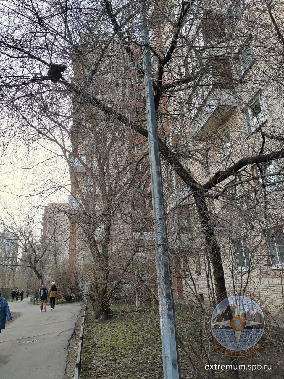 WhatsApp Image 2024-04-01 at 18.25.26.jpeg