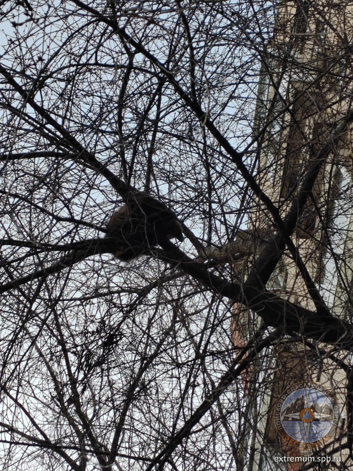 WhatsApp Image 2024-04-01 at 18.25.43.jpeg