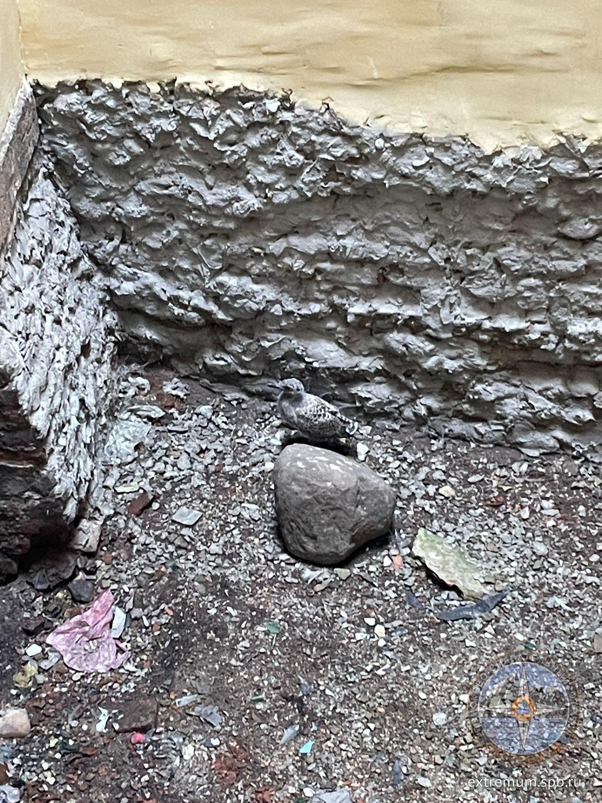 WhatsApp Image 2024-06-30 at 18.05.03.jpeg